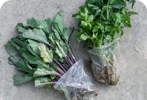 Organic Kale Bunches