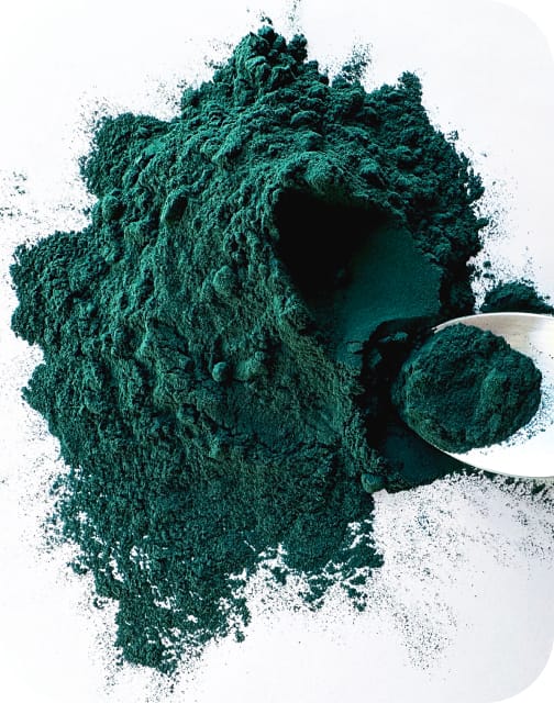 Spirulina Powder